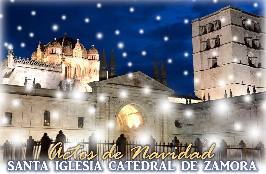 Así será la Navidad en la catedral