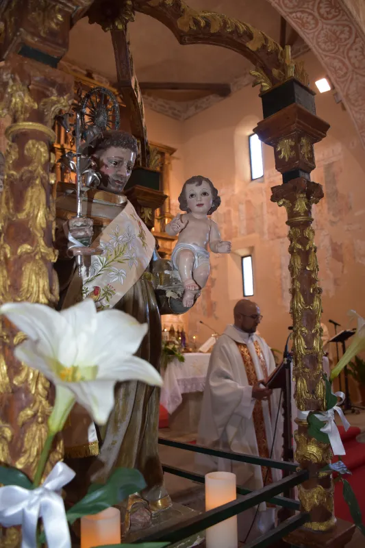Carbellino