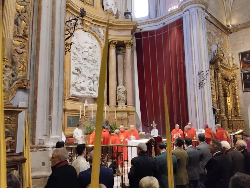 Domingo de Ramos: "En la cruz todos tenemos acceso al Padre".