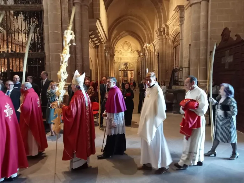 Domingo de Ramos: "En la cruz todos tenemos acceso al Padre".