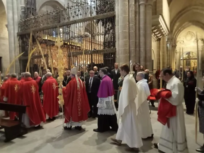 Domingo de Ramos: "En la cruz todos tenemos acceso al Padre".