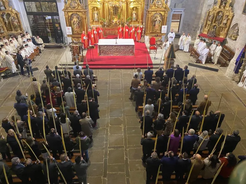 Domingo de Ramos: "En la cruz todos tenemos acceso al Padre".