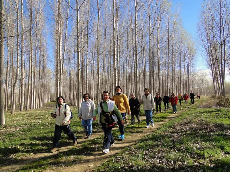 Peregrinos por un día (marzo 2014)