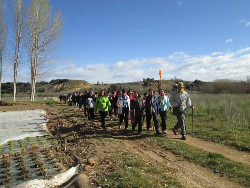 Peregrinos por un día (marzo 2014)
