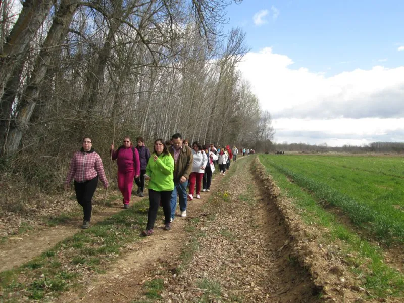 Peregrinos por un día (marzo 2014)