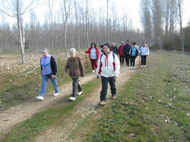 Peregrinos por un día (marzo 2014)