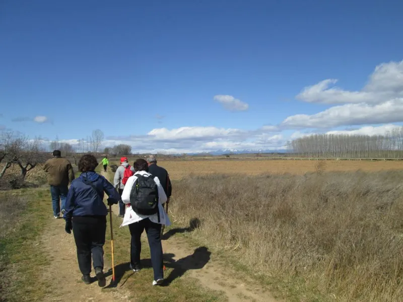 Peregrinos por un día (marzo 2014)