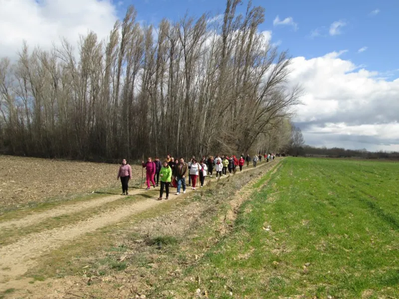 Peregrinos por un día (marzo 2014)