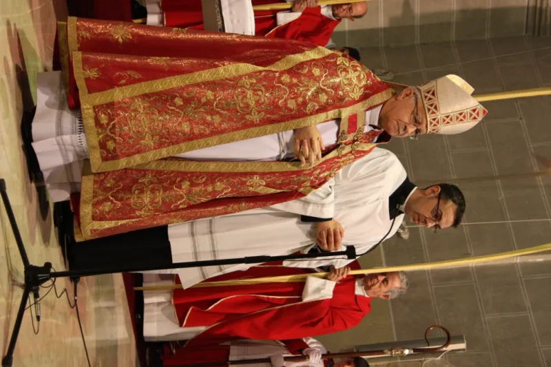 Bendición de palmas