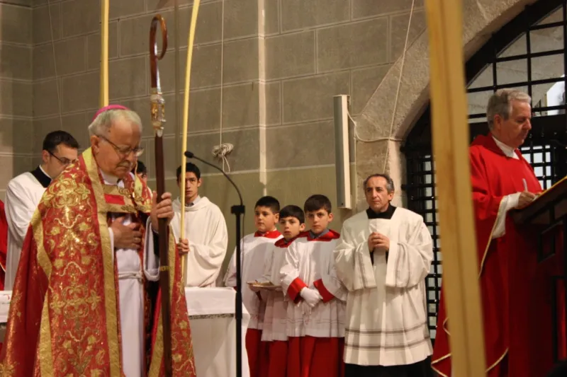 Bendición de palmas