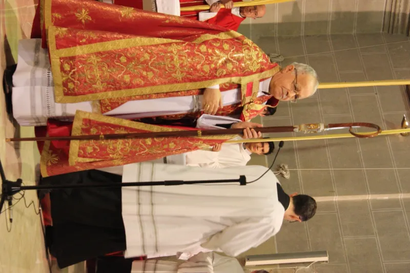 Bendición de palmas