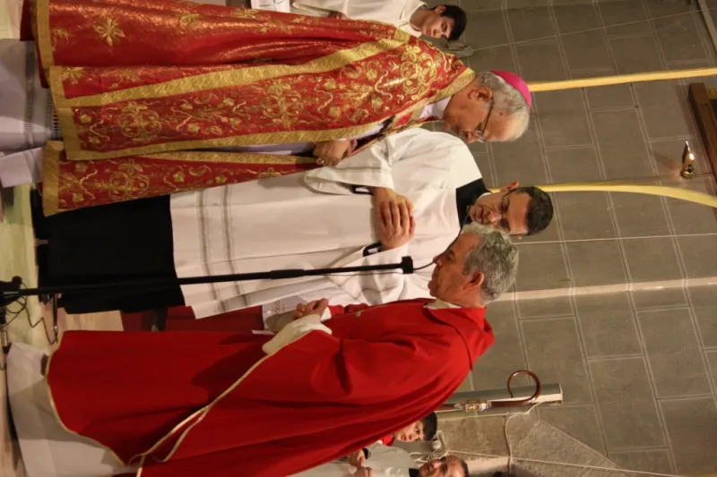 Bendición de palmas