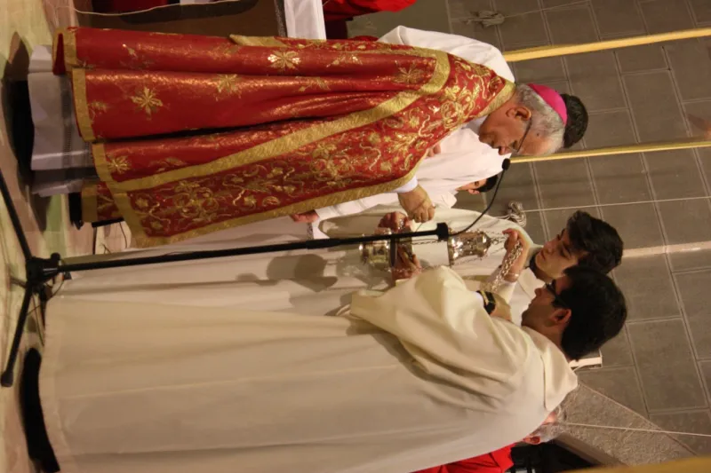 Bendición de palmas