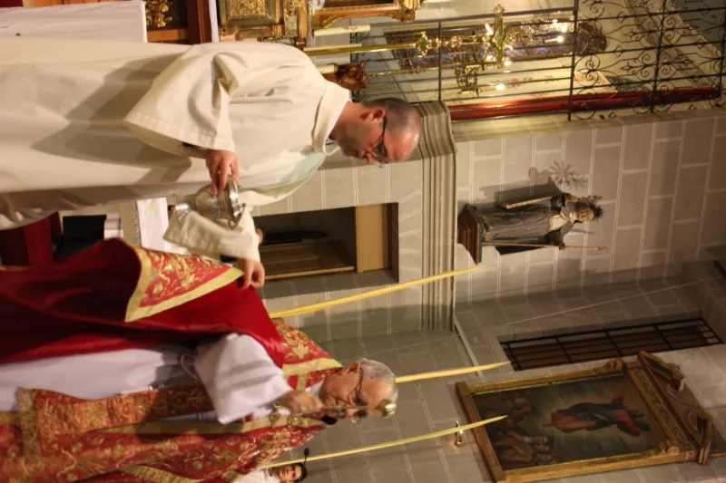 Bendición de palmas