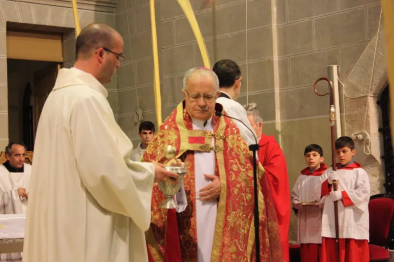 Bendición de palmas