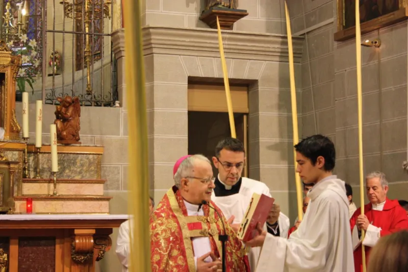 Bendición de palmas