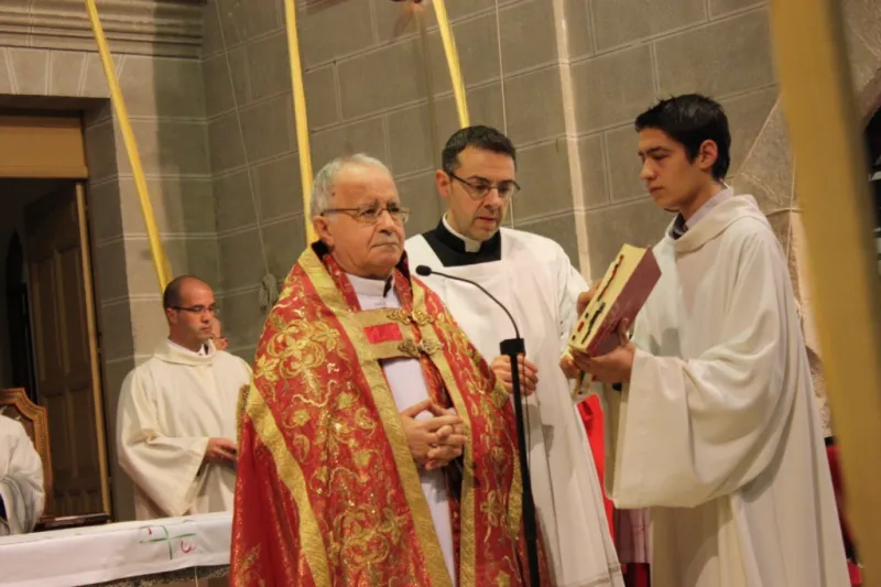 Bendición de palmas