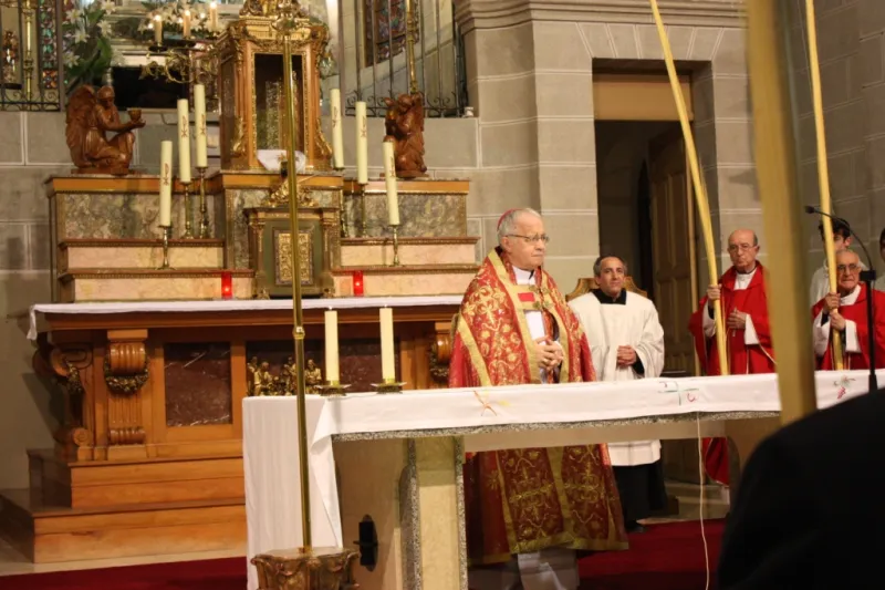 Bendición de palmas