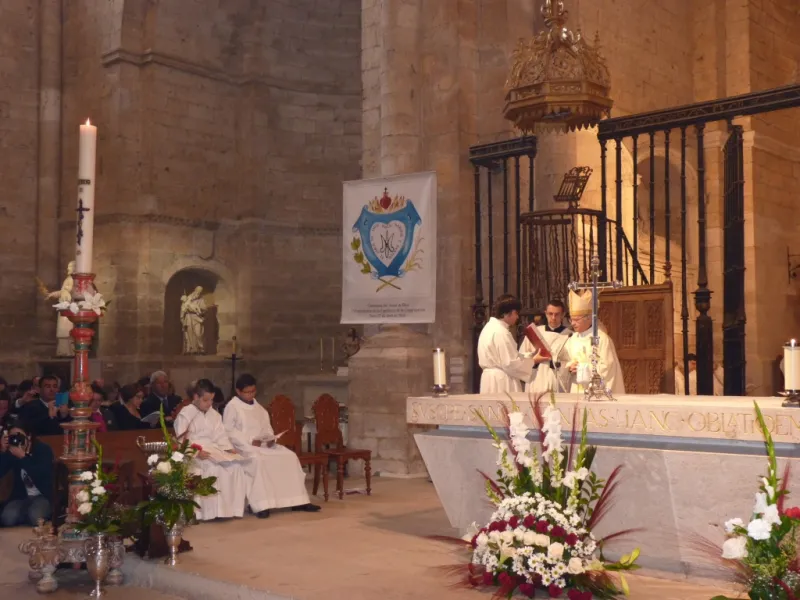 CL Anviersario de las Hermanas del Amor de Dios