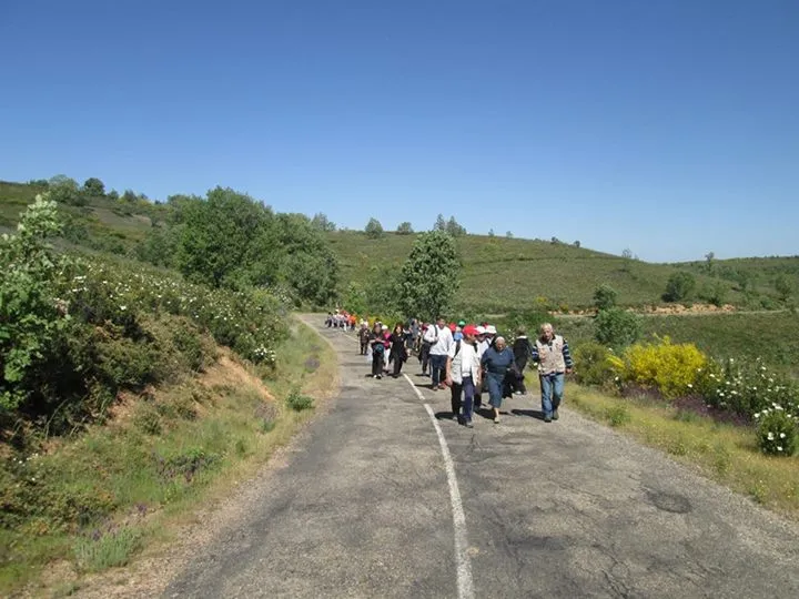 Px1D Carbajales-Videmala