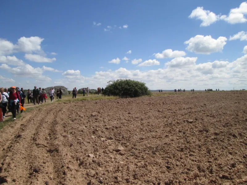 Px1D Videmala-Villalcampo