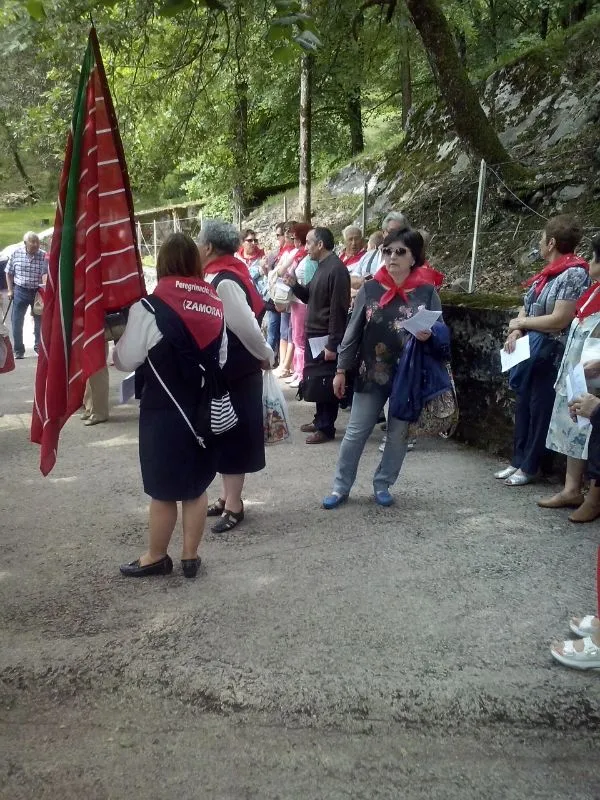 Peregrinación diocesana a Lourdes 2014