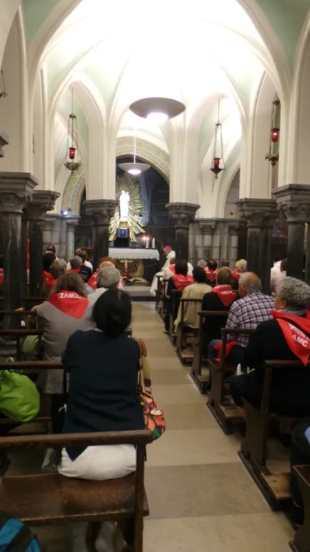 Peregrinación diocesana a Lourdes 2014