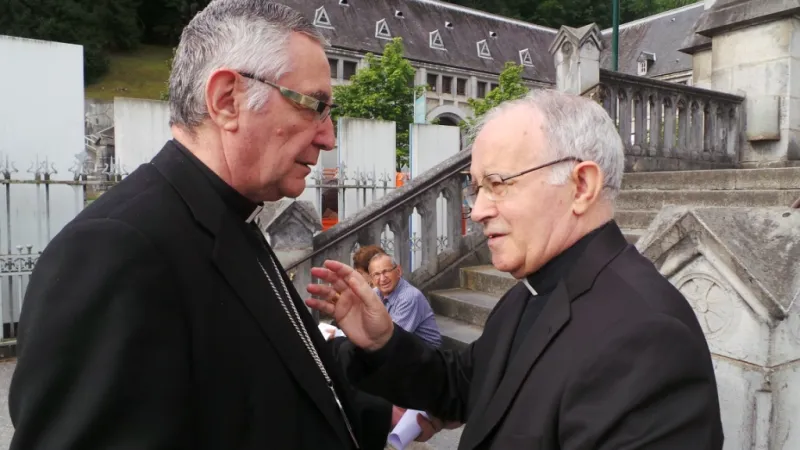 Peregrinación diocesana a Lourdes 2014