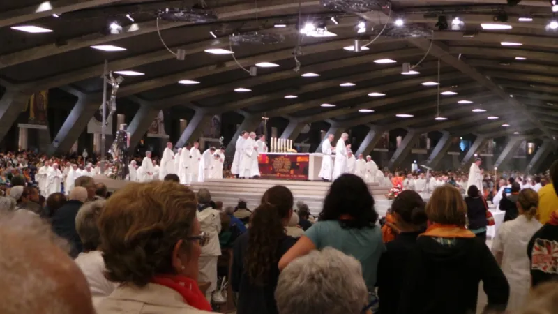 Peregrinación diocesana a Lourdes 2014