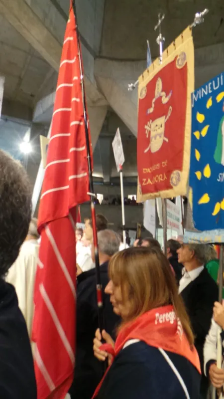 Peregrinación diocesana a Lourdes 2014