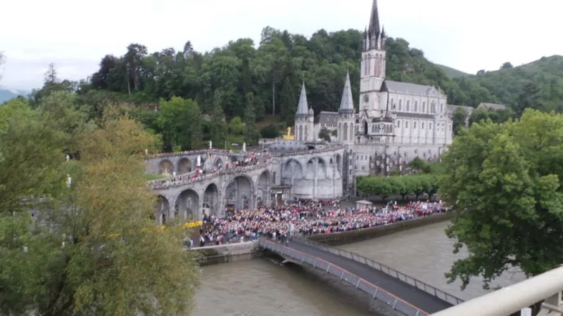 Peregrinación diocesana a Lourdes 2014