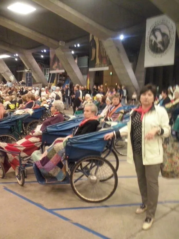 Peregrinación diocesana a Lourdes 2014