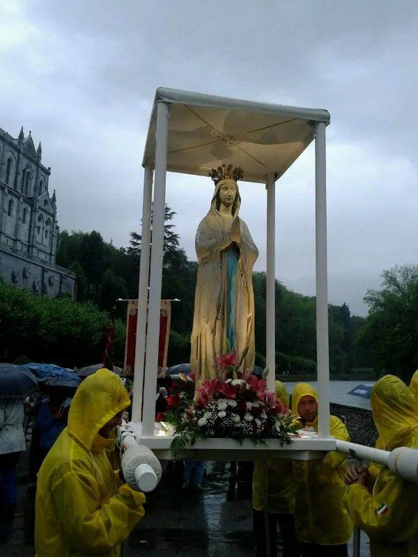 Peregrinación diocesana a Lourdes 2014