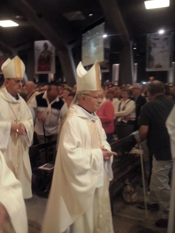 Peregrinación diocesana a Lourdes 2014