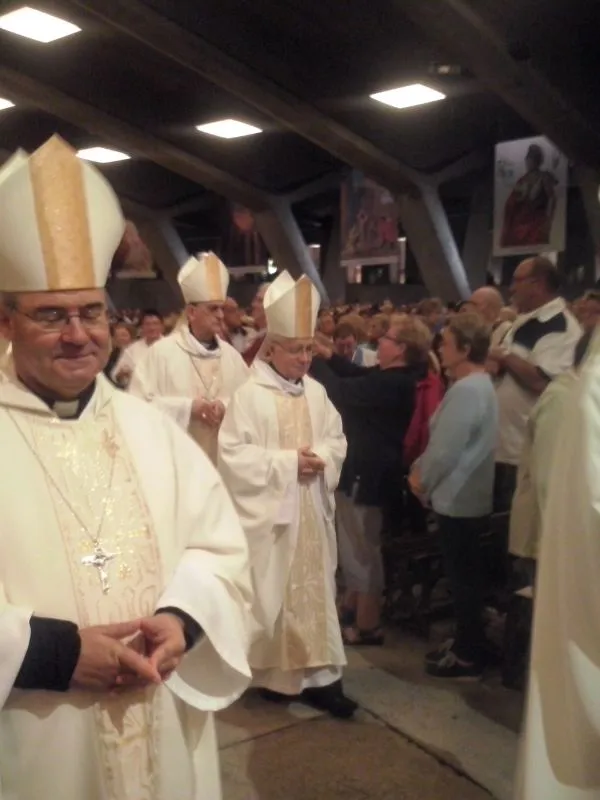 Peregrinación diocesana a Lourdes 2014