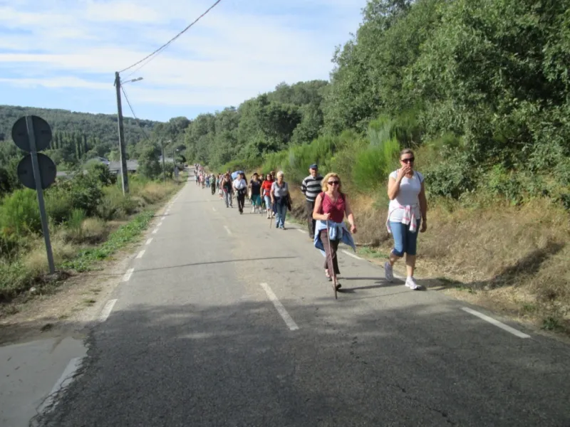 Px1D: El Puente - La Alcobilla