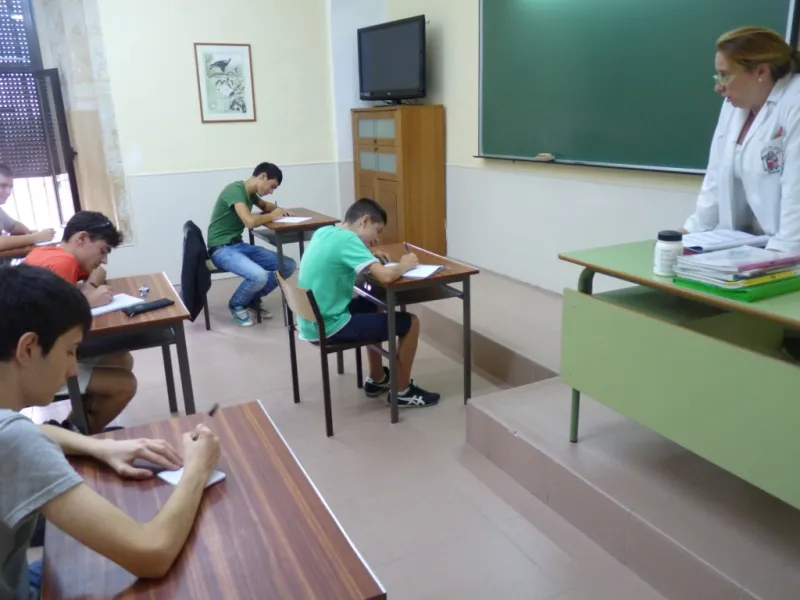 Inicio del curso 2014-2015