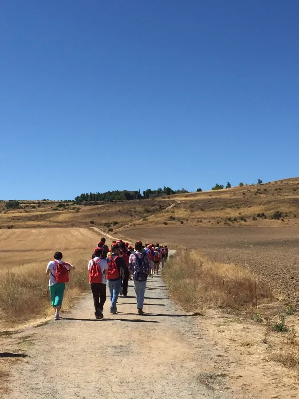 Actividades en Ávila