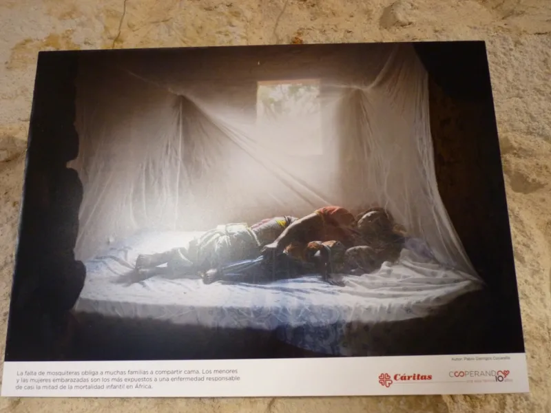 Exposición "Cooperando, una sola familia"