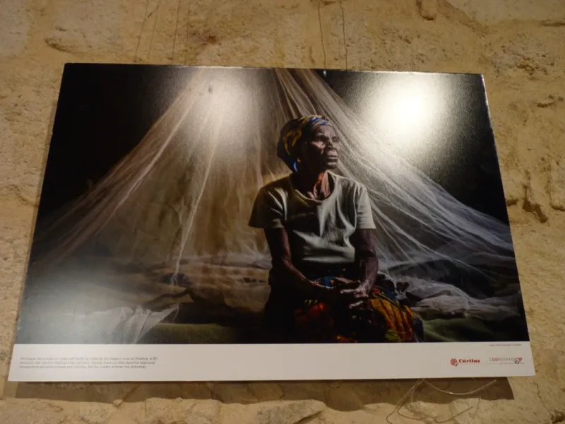 Exposición "Cooperando, una sola familia"