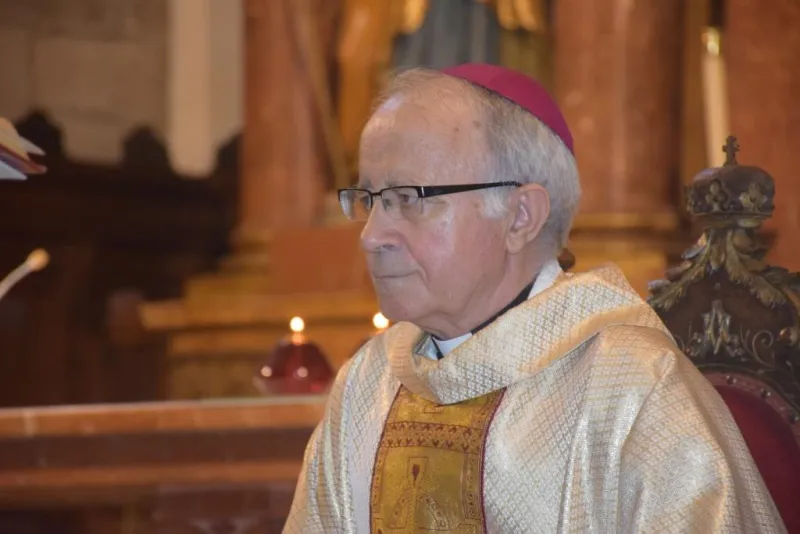 Misa del Día de Caridad en San Vicente