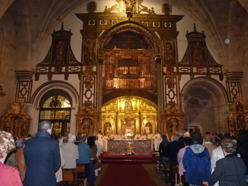 Día de San Atilano 2015
