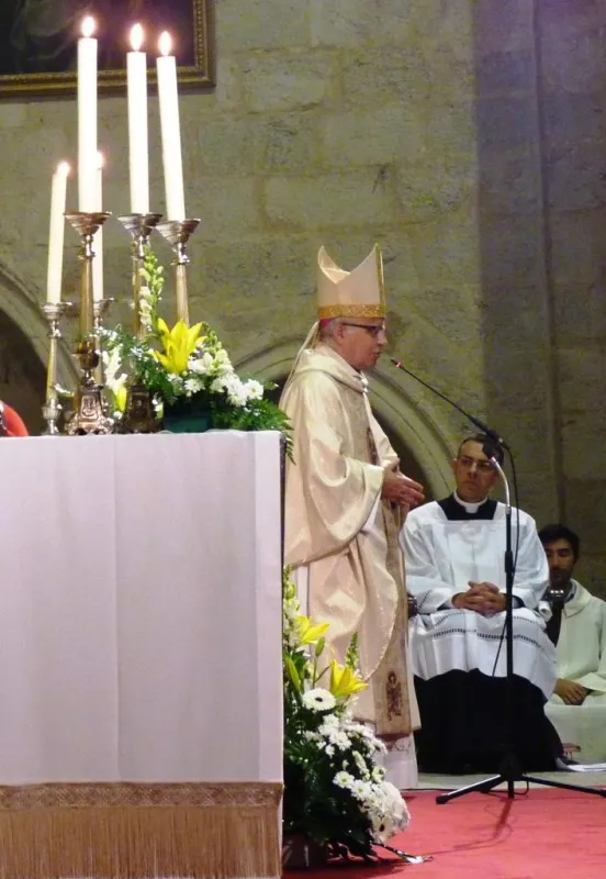 Día de San Atilano 2015