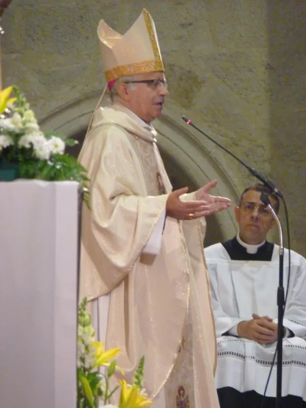 Día de San Atilano 2015