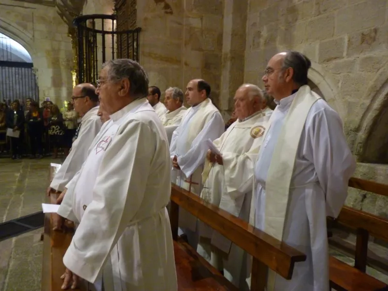 Día de San Atilano 2015