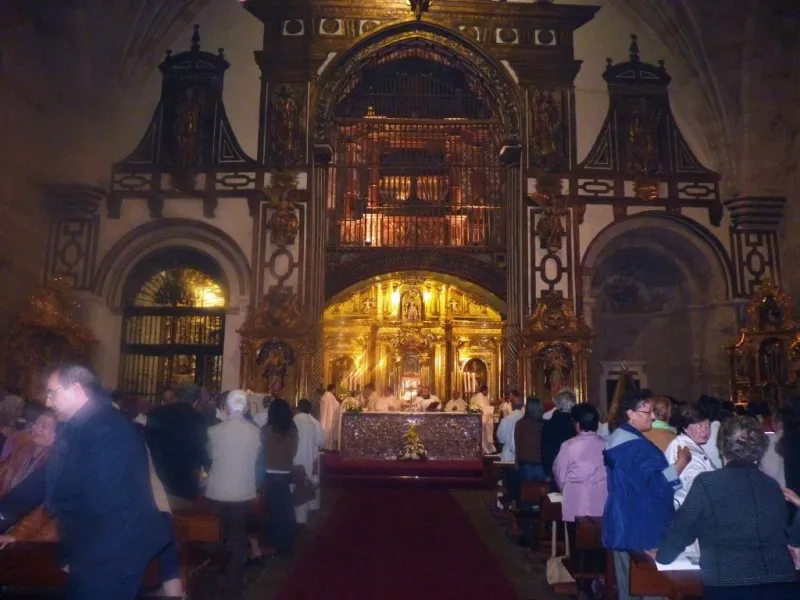 Día de San Atilano 2015