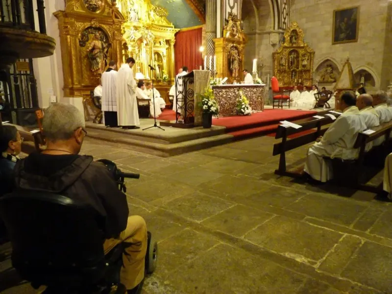 Día de San Atilano 2015