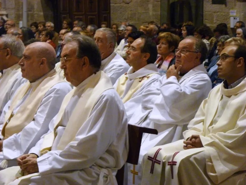 Día de San Atilano 2015