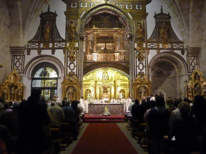 Día de San Atilano 2015