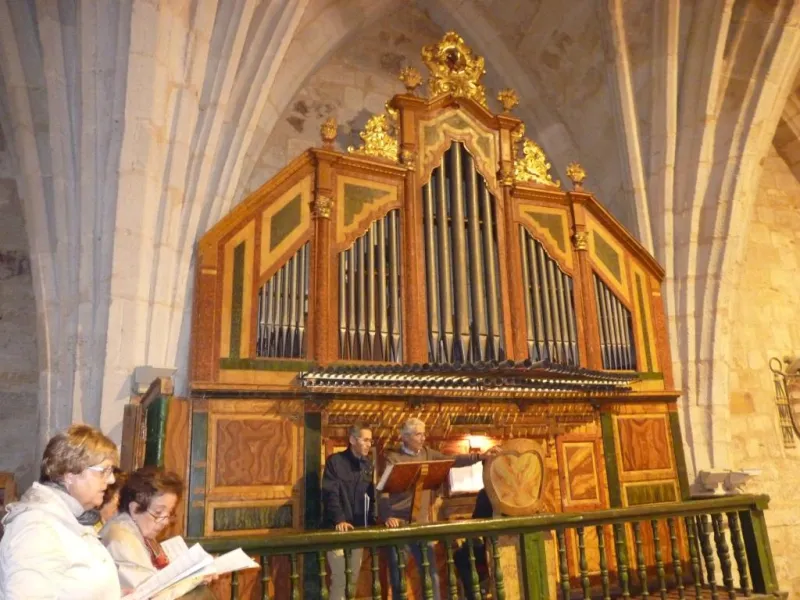 Día de San Atilano 2015